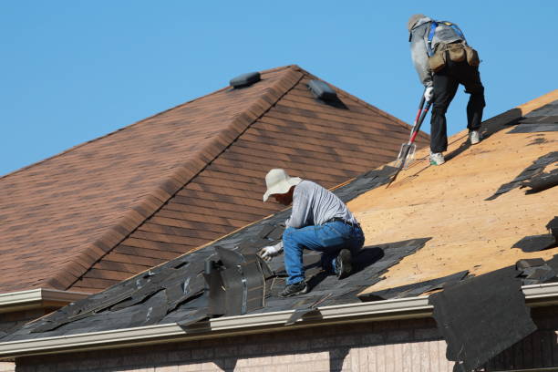 Best Roof Maintenance and Cleaning  in Provo, UT